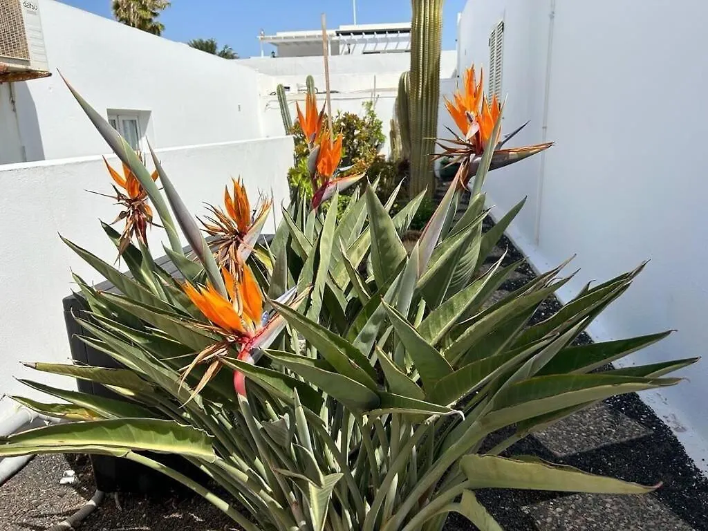 Holiday home 2 Bedroom Villa In Puerto Del Carmen Puerto del Carmen